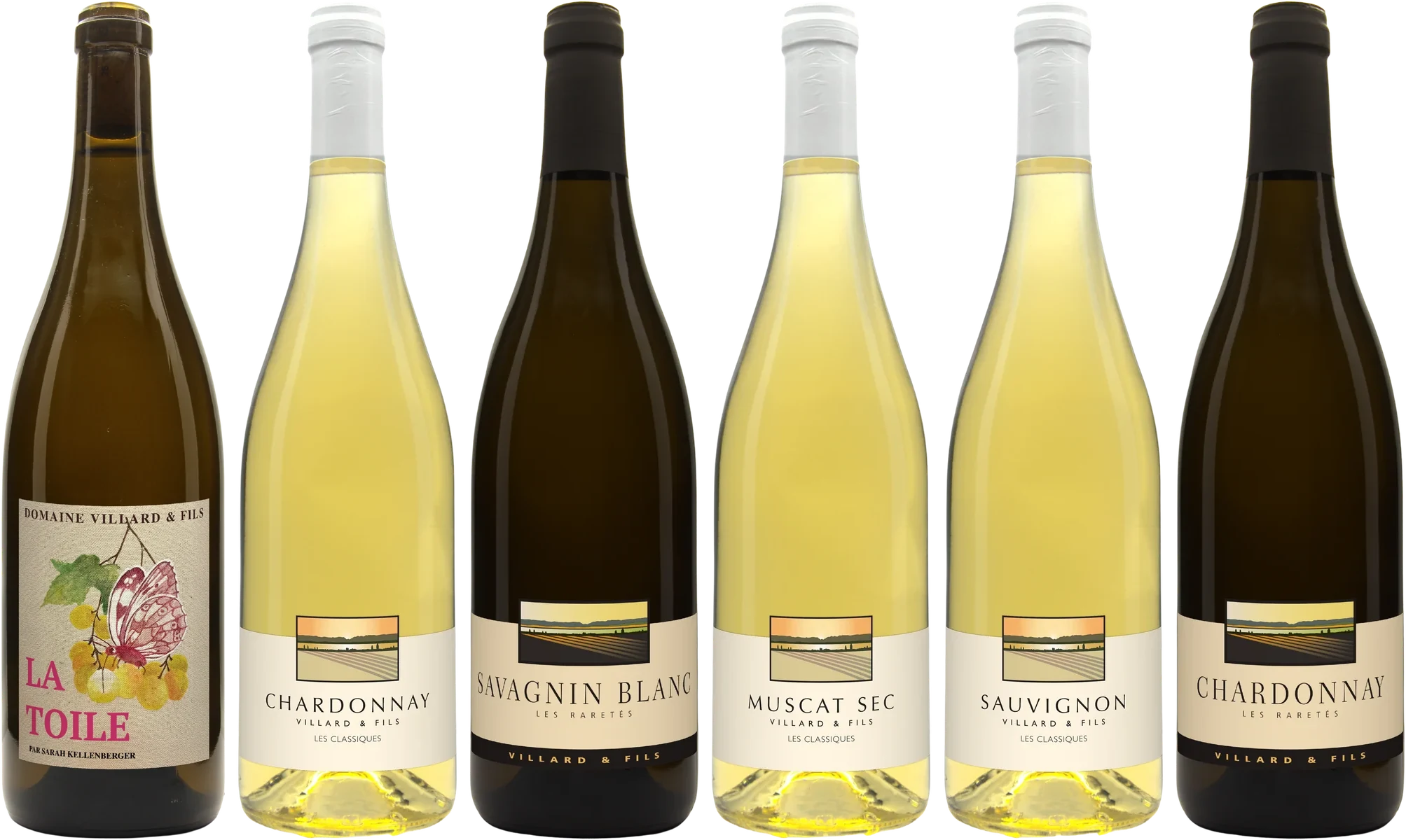 Carton découverte blanc, Domaine Villard & Fils