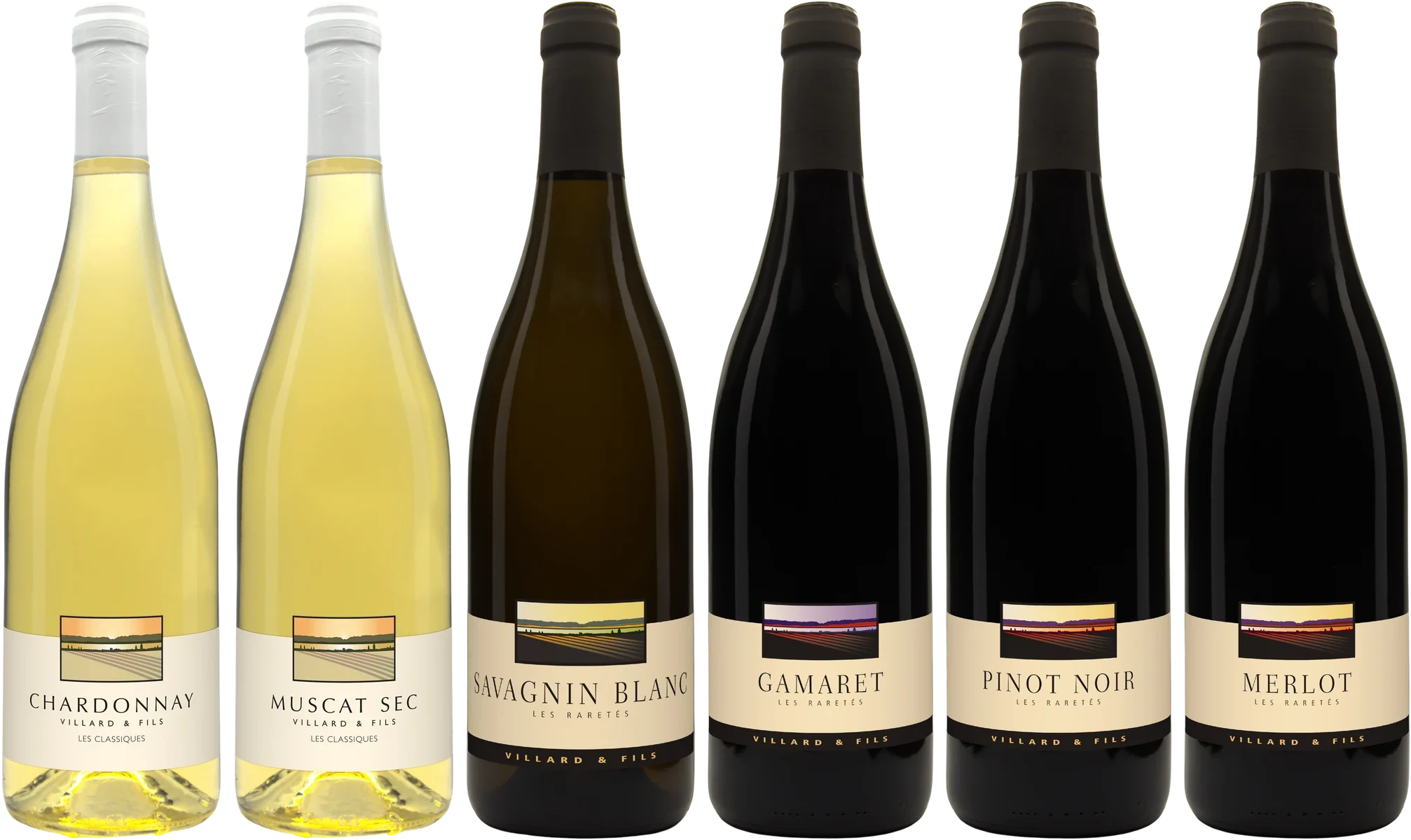 Carton découverte mix, Domaine Villard & Fils