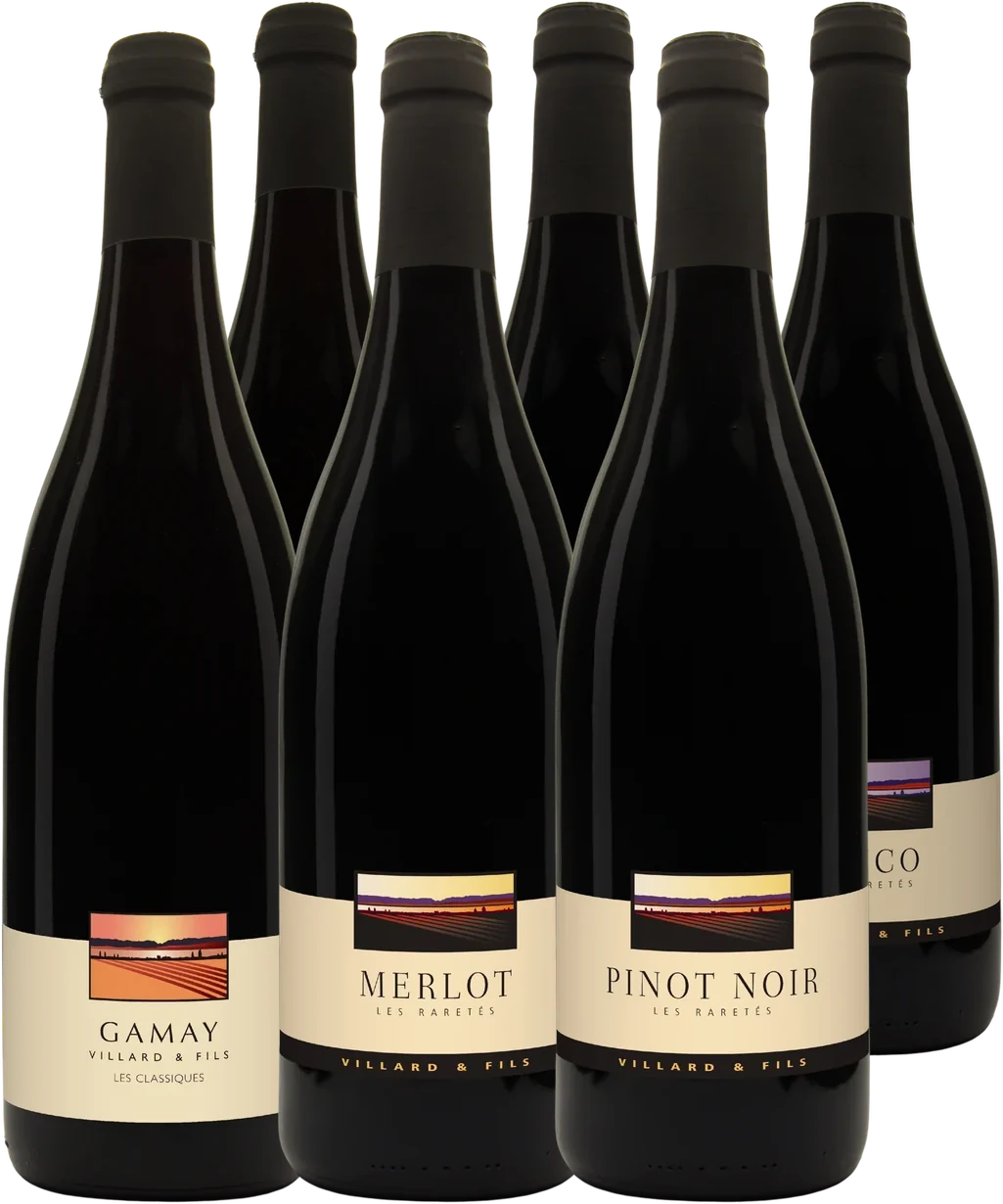 Carton découverte rouge : Gamay « Fruit », Pinot Noir « Fruit », Merlot, Gamaret, Pinot Noir, Divico