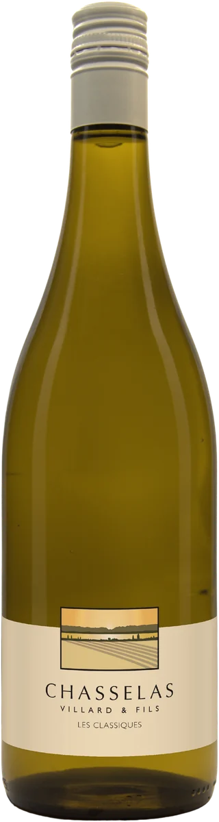 Chasselas 2024