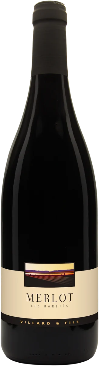 Merlot 2024
