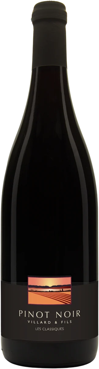Pinot Noir « Fruit » 2025
