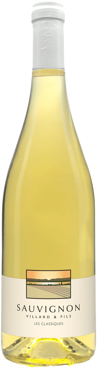 Sauvignon 2025
