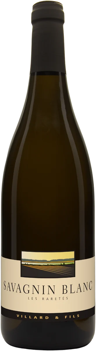 Savagnin Blanc 2024